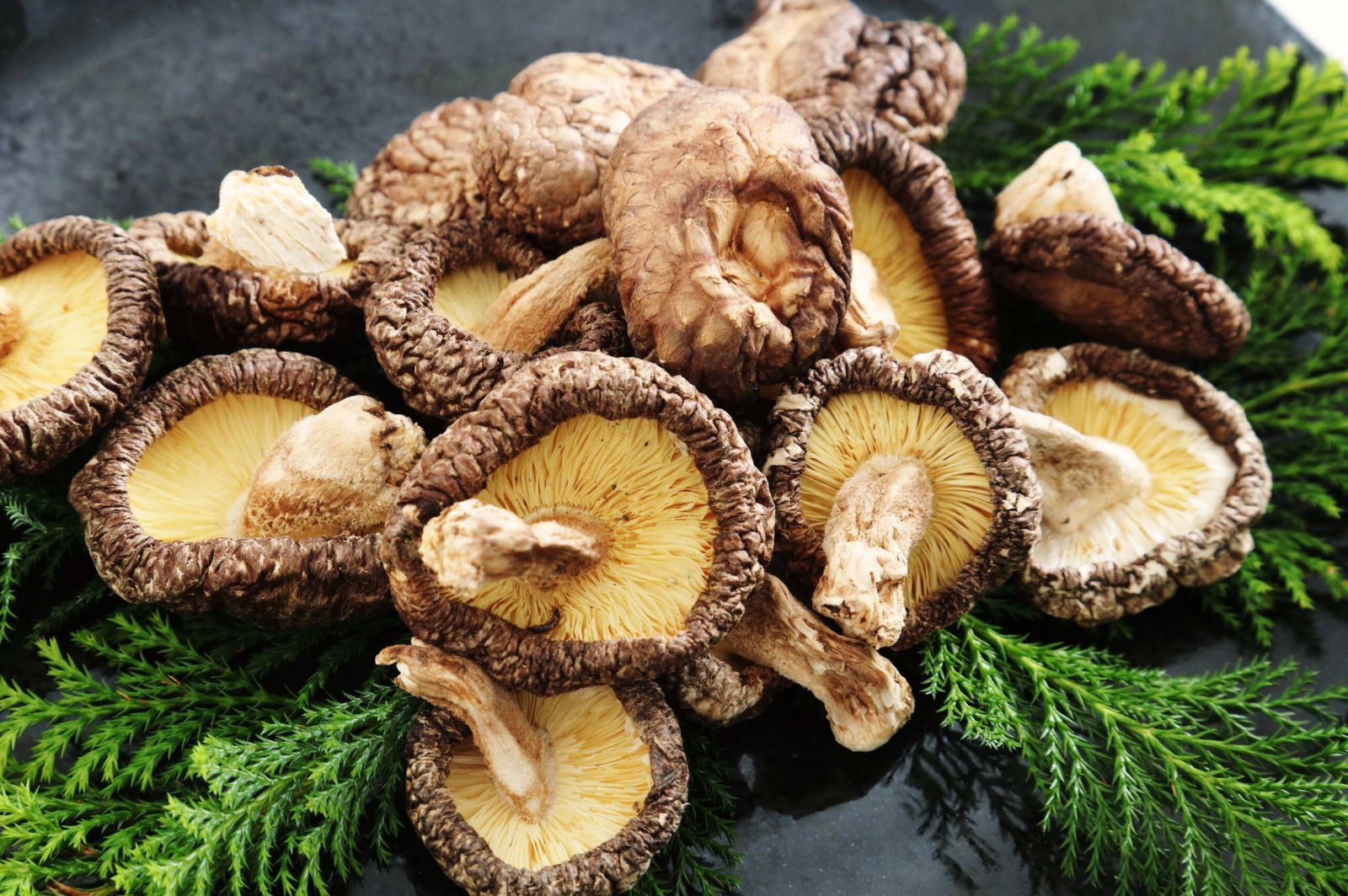 Portabella Mushrooms