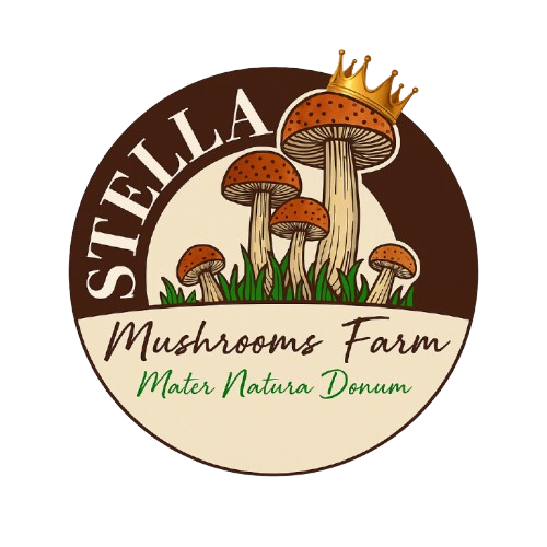 Stella Mushroom