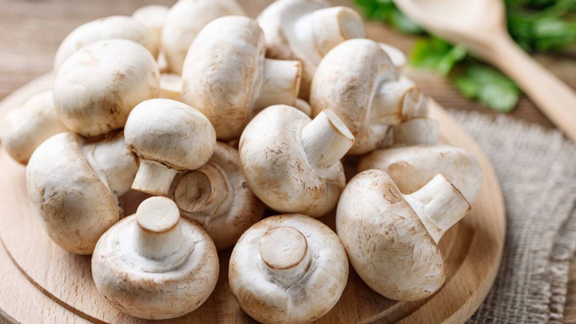 Champignon