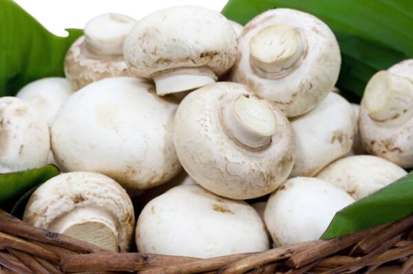 Organic Buttons white sliced 10 lbs. box