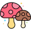 mushroom4