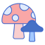 mushroom5