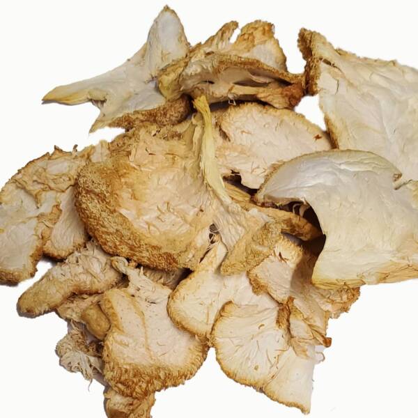 6/1 oz. Organic Dried Lions mane Pieces