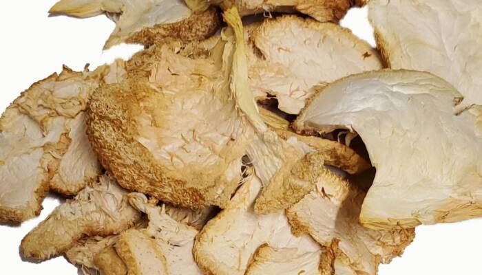 6/1 oz. Organic Dried Lions mane Pieces