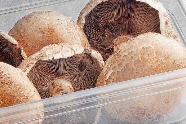 Portabella 5 lbs. Box