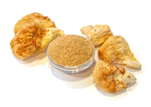 12/1 oz. Organic Dried Lions Mane Powder
