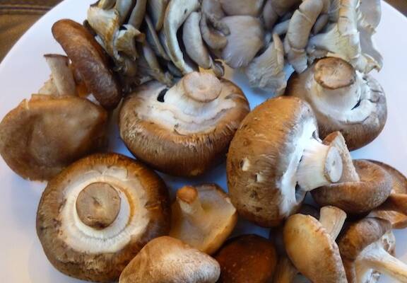 3 lbs. Wild Bunch (Shiitake, Crimini, Yellow Oysters sliced)