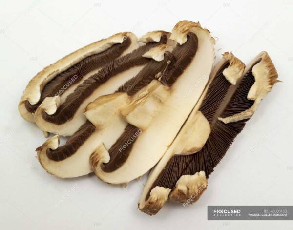 Portabella Sliced 6/6 oz