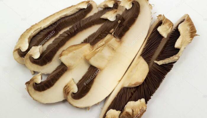Portabella Sliced 6/6 oz